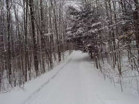 3190 Jensen Rd, Petoskey, MI 49770 photo 15