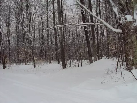 3190 Jensen Rd, Petoskey, MI 49770 photo 8
