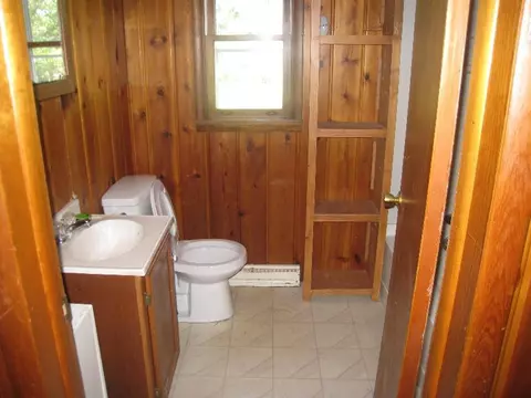 839 E Main St, Vanderbilt, MI 49795 photo 6