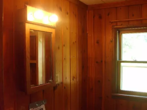 839 E Main St, Vanderbilt, MI 49795 photo 11