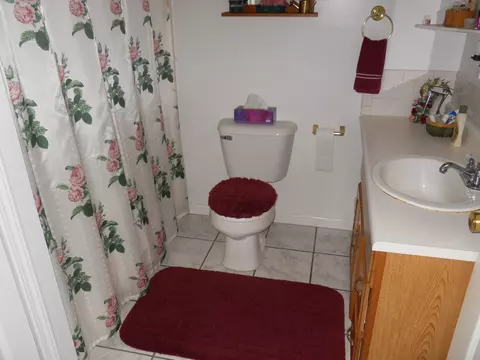 6750 Pike School Rd, Vanderbilt, MI 49795 photo 15
