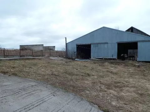 2171 Emig Rd, Comins, MI 48619 photo 24