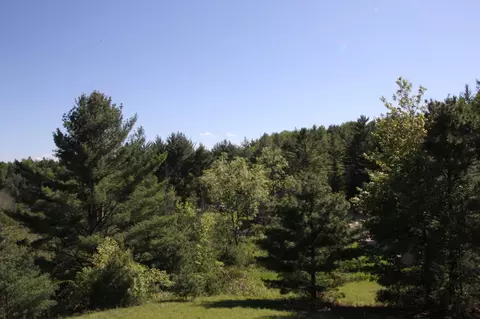 15017 Riverside Trl, Wolverine, MI 49799 photo 31