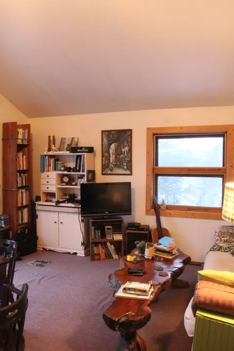 15017 Riverside Trl, Wolverine, MI 49799 photo 12