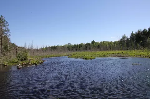 15017 Riverside Trl, Wolverine, MI 49799 photo 32