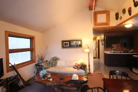15017 Riverside Trl, Wolverine, MI 49799 photo 10