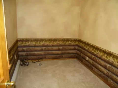 8471 W Cameron Bridge Rd, Frederic, MI 49733 photo 2