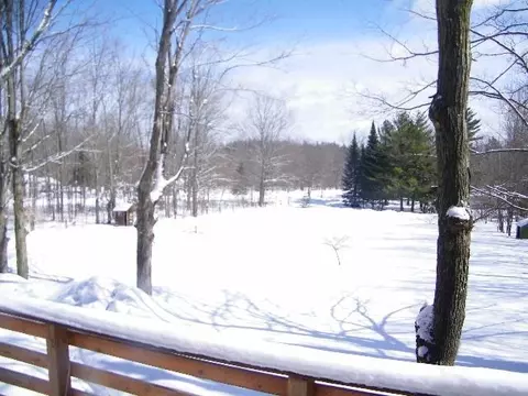 8471 W Cameron Bridge Rd, Frederic, MI 49733 photo 10