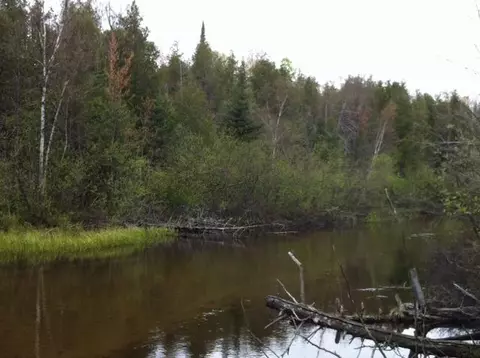 7529 N Old 27 Frederic Mi 49733, Frederic, MI 49733 photo 5