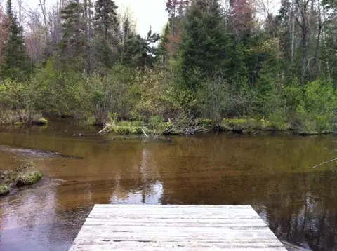 7529 N Old 27 Frederic Mi 49733, Frederic, MI 49733 photo 6