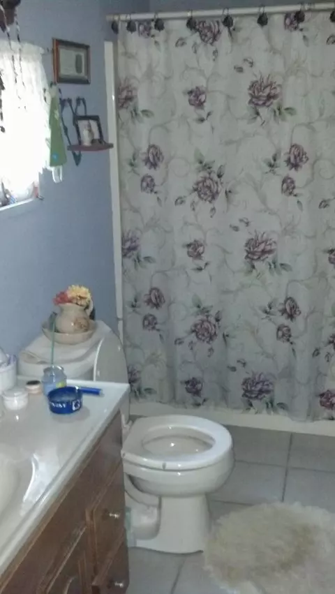408 E 4th St, Mio, MI 48647 photo 6