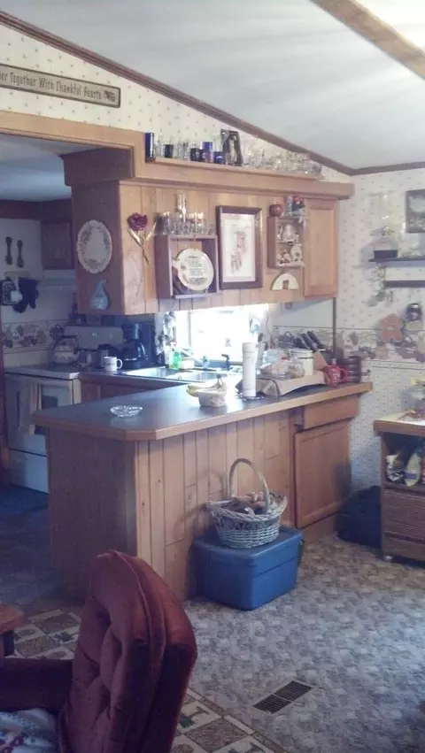 408 E 4th St, Mio, MI 48647 photo 3