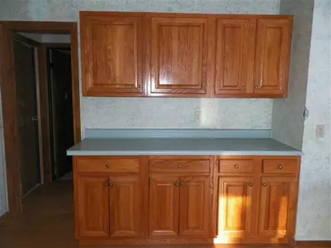 10621 Vroman Rd, Wolverine, MI 49799 photo 8