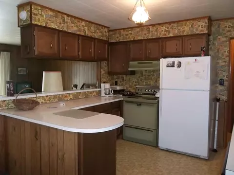 13320 Friendly Dr, Wolverine, MI 49799 photo 4