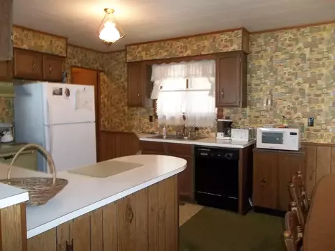 13320 Friendly Dr, Wolverine, MI 49799 photo 5