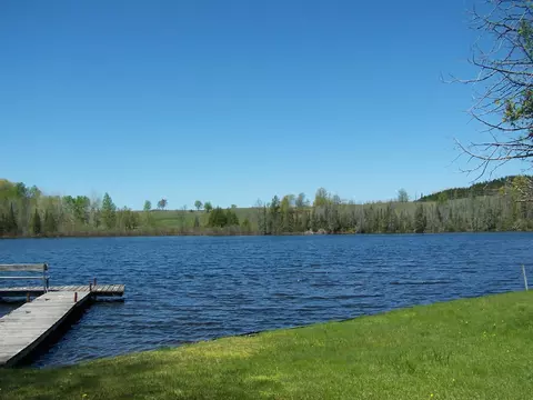 15902 Rose Ln, Wolverine, MI 49799 photo 14