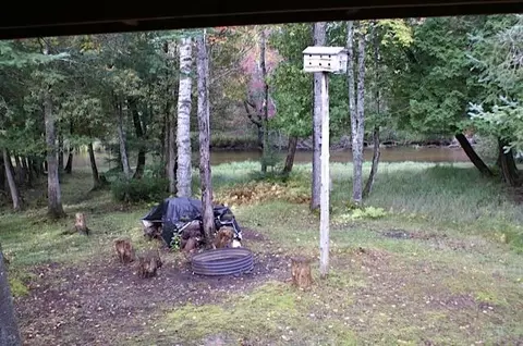 4619 Martin Drive Frederic Mi 49733 Dr, Frederic, MI 49733 photo 13