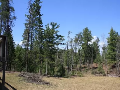 6474 Old Vanderbilt Rd, Vanderbilt, MI 49795 photo 4