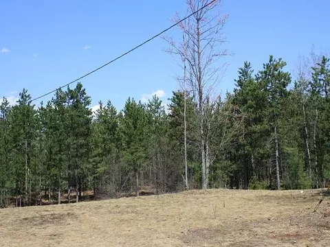 6474 Old Vanderbilt Rd, Vanderbilt, MI 49795 photo 5