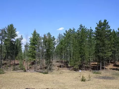 6474 Old Vanderbilt Rd, Vanderbilt, MI 49795 photo 3