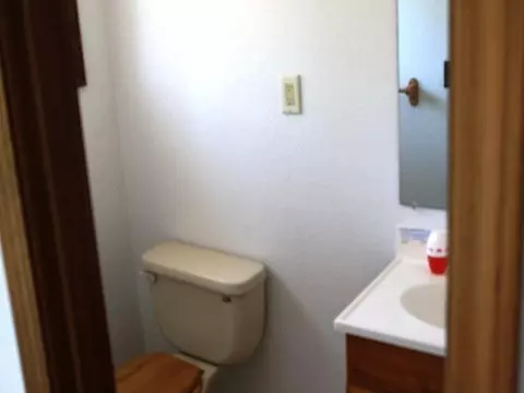 6474 Old Vanderbilt Rd, Vanderbilt, MI 49795 photo 7