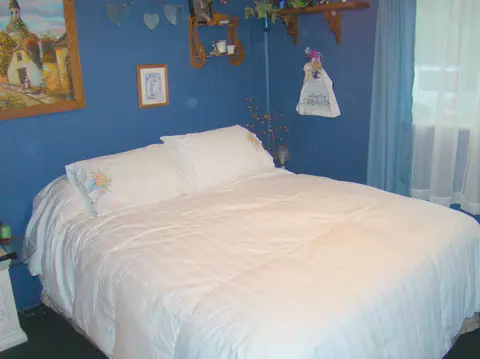 8075 Washington St, Vanderbilt, MI 49795 photo 10