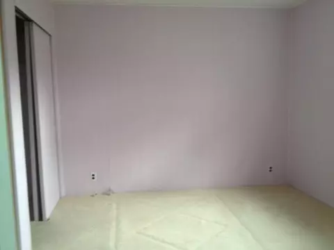 317 E Bingham Street Alpena Mi 49707 St, Alpena, MI 49707 photo 10