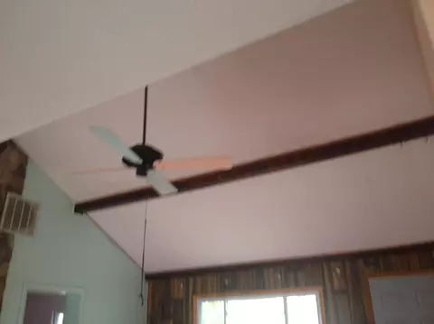 317 E Bingham Street Alpena Mi 49707 St, Alpena, MI 49707 photo 9