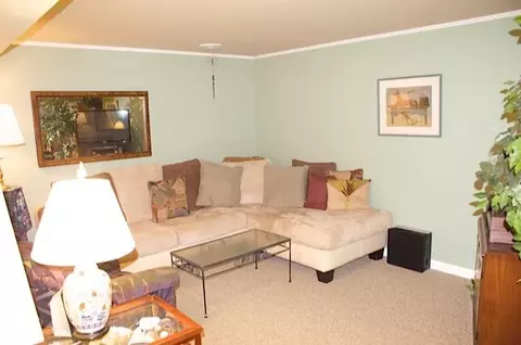 207 Nordic Drive Grayling Mi 49738 Dr, Grayling, MI 49738 photo 19