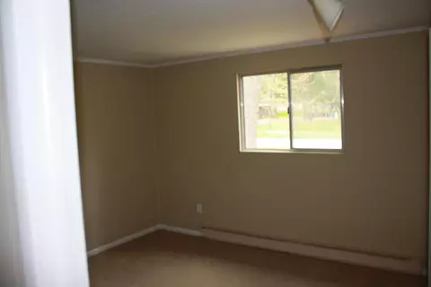 1348 Eagle St, Grayling, MI 49738 photo 8