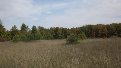 9378 Watson Rd, Wolverine, MI 49799 photo 25