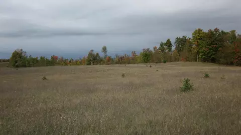 9378 Watson Rd, Wolverine, MI 49799 photo 27
