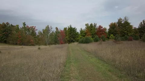 9378 Watson Rd, Wolverine, MI 49799 photo 26