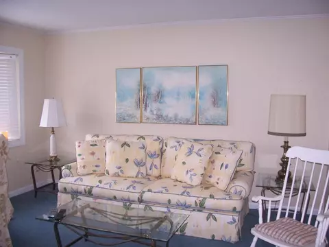 400 Rush St, Petoskey, MI 49770 photo 5