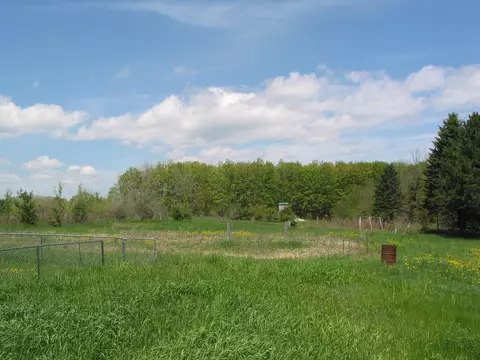 10680 Rogers Rd, Alanson, MI 49706 photo 6