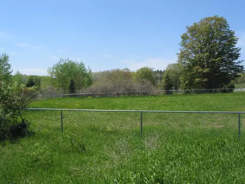 10680 Rogers Rd, Alanson, MI 49706 photo 5