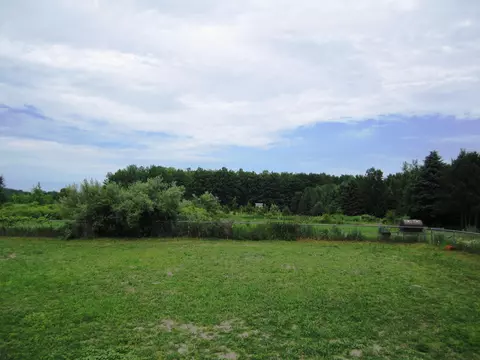 10680 Rogers Rd, Alanson, MI 49706 photo 8
