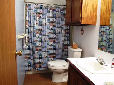 10680 Rogers Rd, Alanson, MI 49706 photo 18