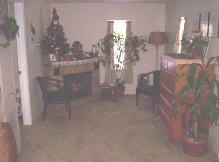 6437 Center St, Frederic, MI 49733 photo 3
