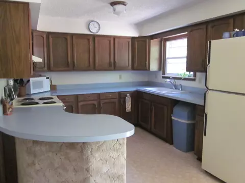 12304 Shire Rd, Wolverine, MI 49799 photo 3