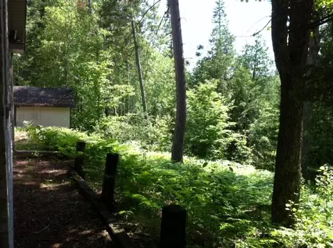 7519 N Old 27, Frederic, MI 49733 photo 8