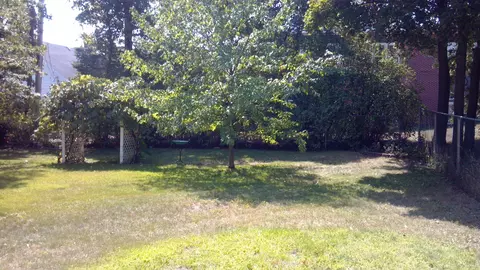 307 Chestnut St, Grayling, MI 49738 photo 17