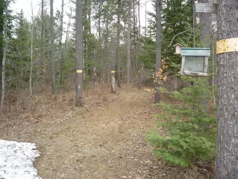 7186 W Batterson Road Frederic Mi 49733 Rd, Frederic, MI 49733 photo 11
