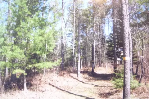 7186 W Batterson Road Frederic Mi 49733 Rd, Frederic, MI 49733 photo 10