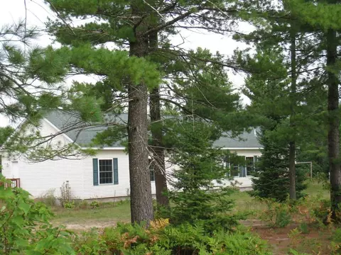 8364 Fontinalis Rd, Vanderbilt, MI 49795 photo 29
