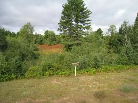 8364 Fontinalis Rd, Vanderbilt, MI 49795 photo 23