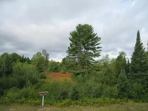 8364 Fontinalis Rd, Vanderbilt, MI 49795 photo 26