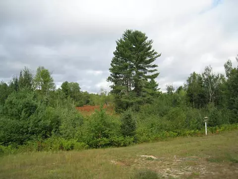 8364 Fontinalis Rd, Vanderbilt, MI 49795 photo 22