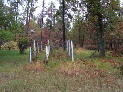 2525 Peaceful Vista Grayling Mi 49738, Grayling, MI 49738 photo 23