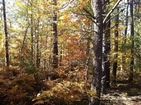 8162 W Hulbert Rd, Frederic, MI 49733 photo 28